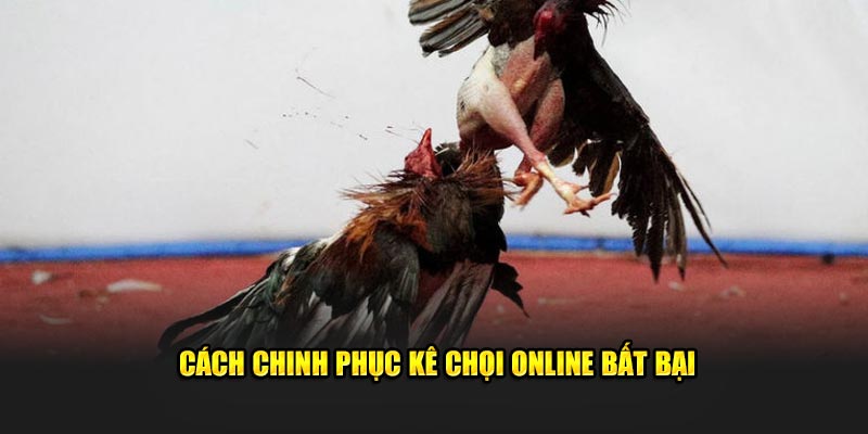 Cách chinh phục kê chọi online bất bại