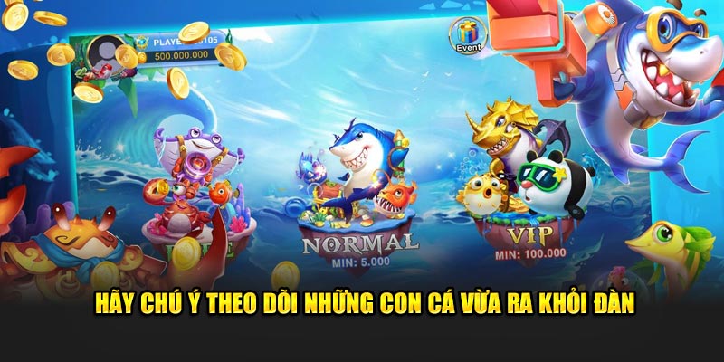 Hãy chú ý theo dõi những con cá vừa ra khỏi đàn