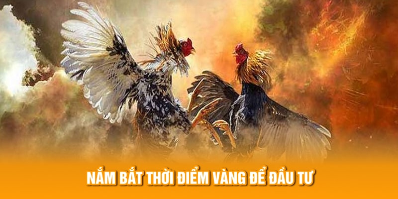 Nắm bắt thời điểm đầu tư